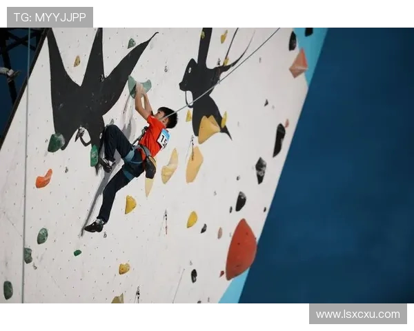 南京攀岩队的成功运营模式与发展策略深度解析